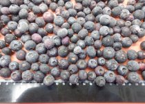 DSCF0853
